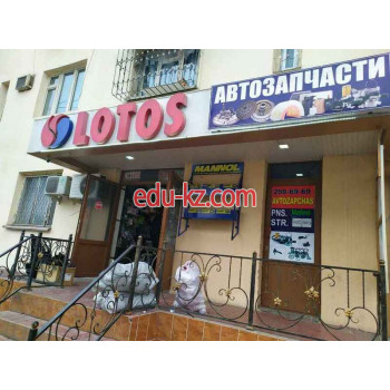 Магазин автозапчастей и автотоваров - Lotos