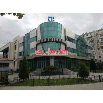 Инжиниринг - Zte investment