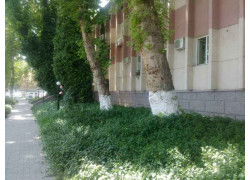 Строительная компания - Курилиш Монтаж Бошкармаси
